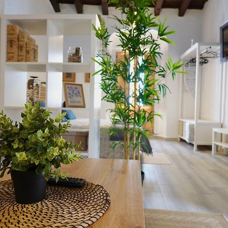Apartamento Astaregia ヘレス エクステリア 写真