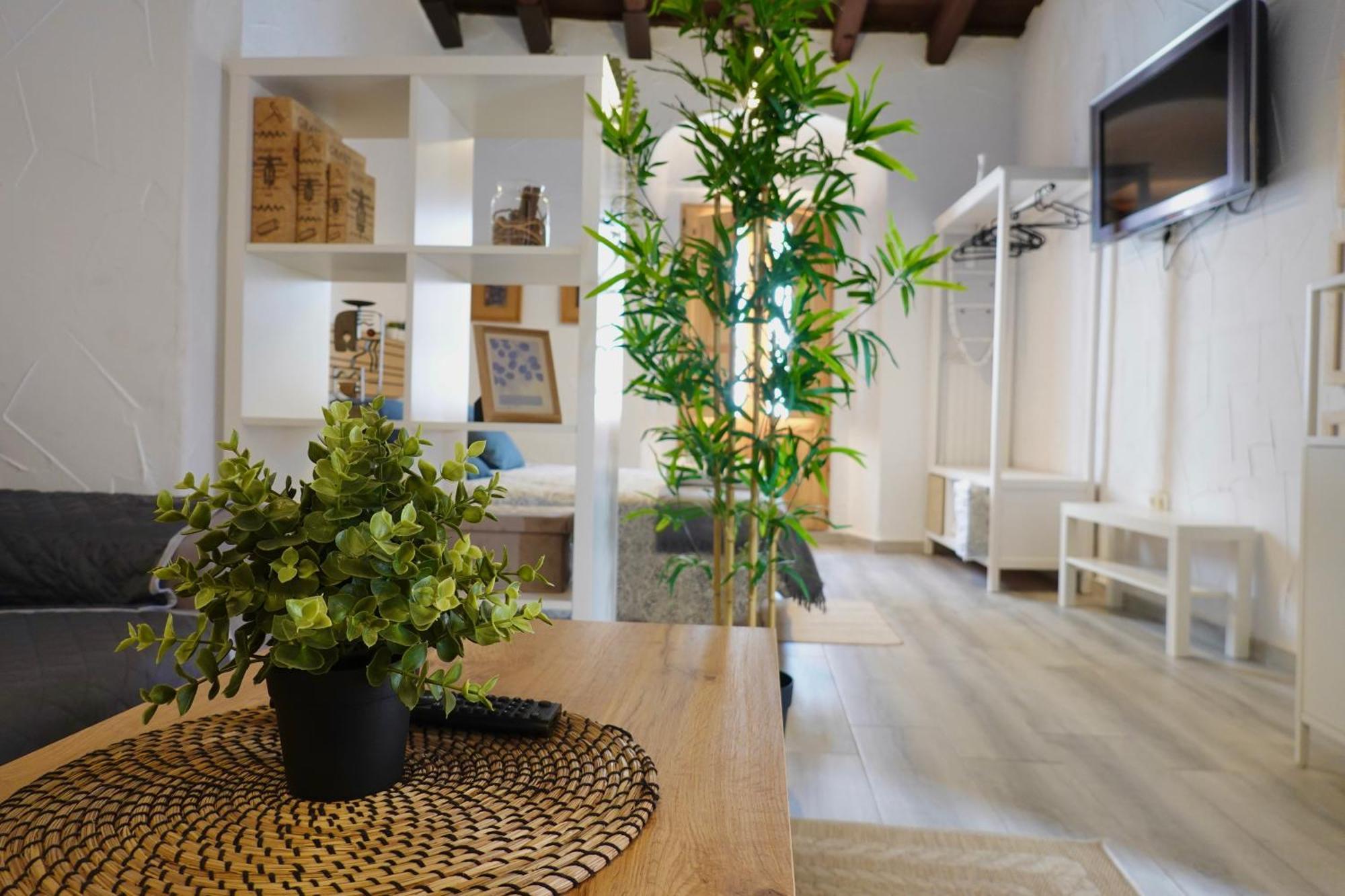 Apartamento Astaregia ヘレス エクステリア 写真